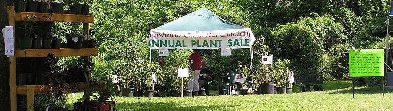 Plant Sale